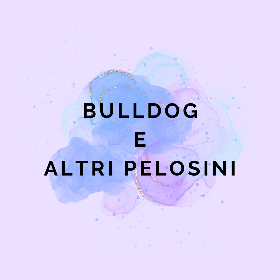 Accessori per Bulldog e altri pelosini