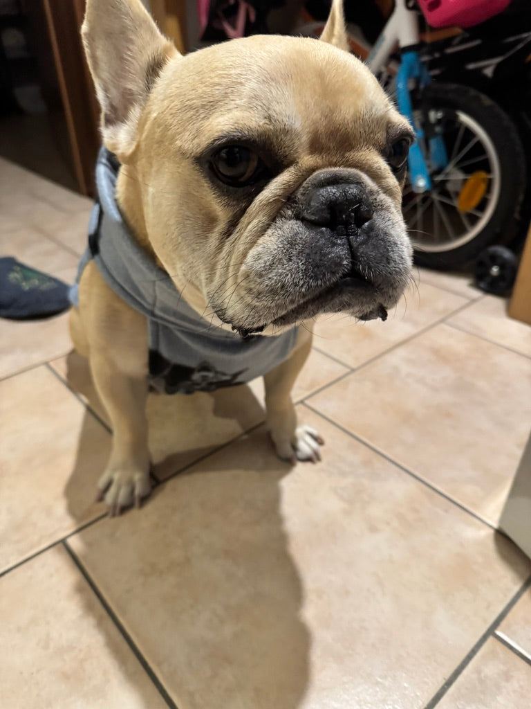 Pigiamino in pile per bulldog e altri pelosini