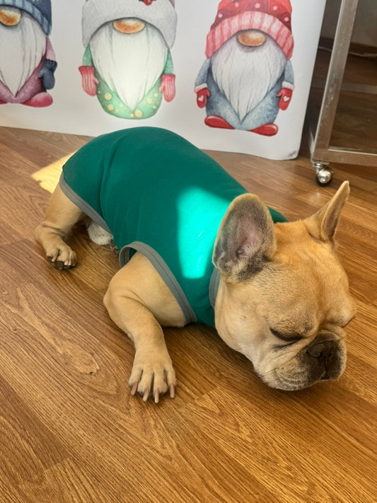 Tutina in felpa garzata per bulldog e altri pelosini PERSONALIZZABILE