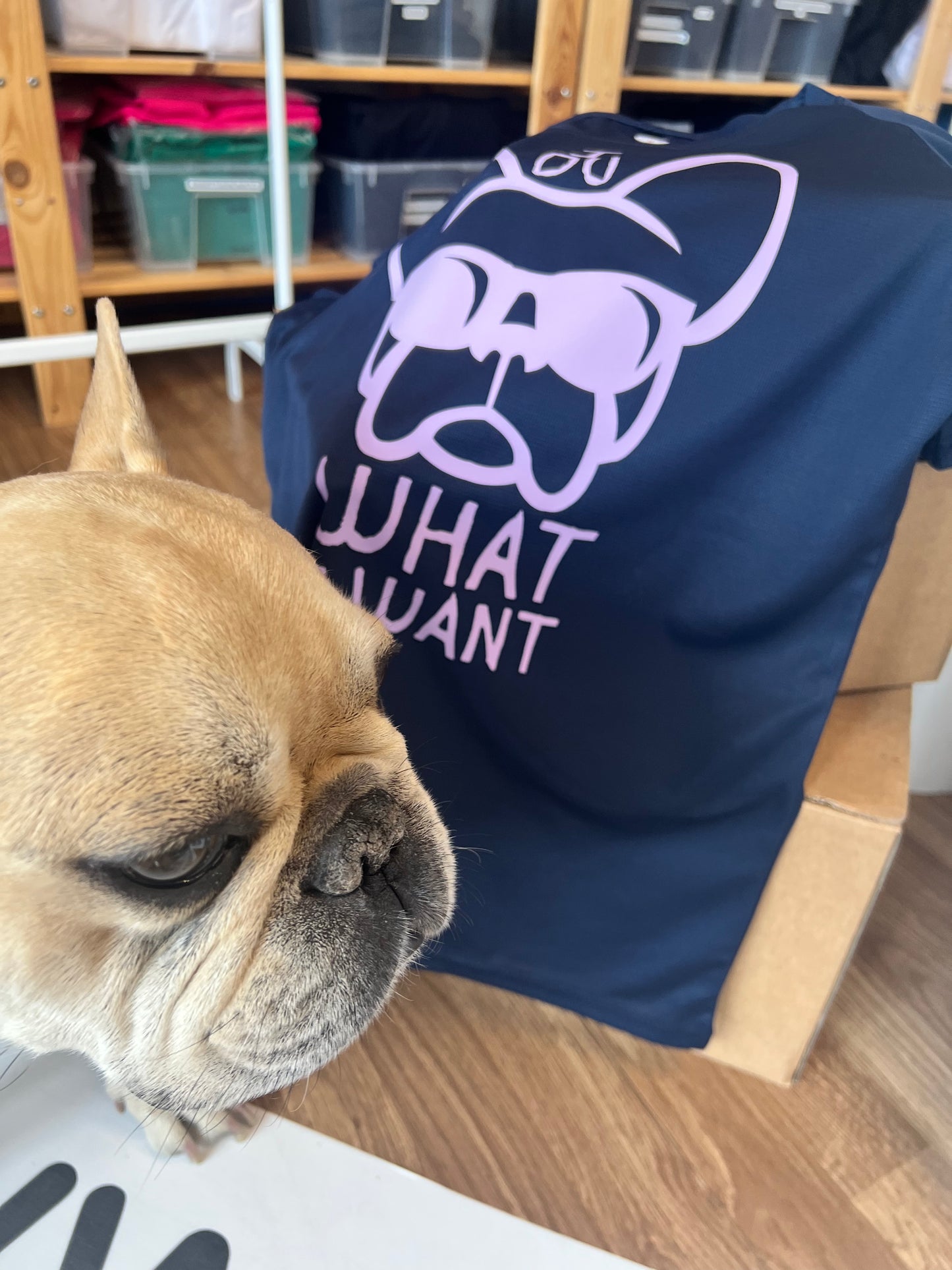 T-shirt tecnica BLU da donna, stampa "ETTORE -I DO WHAT I WANT"