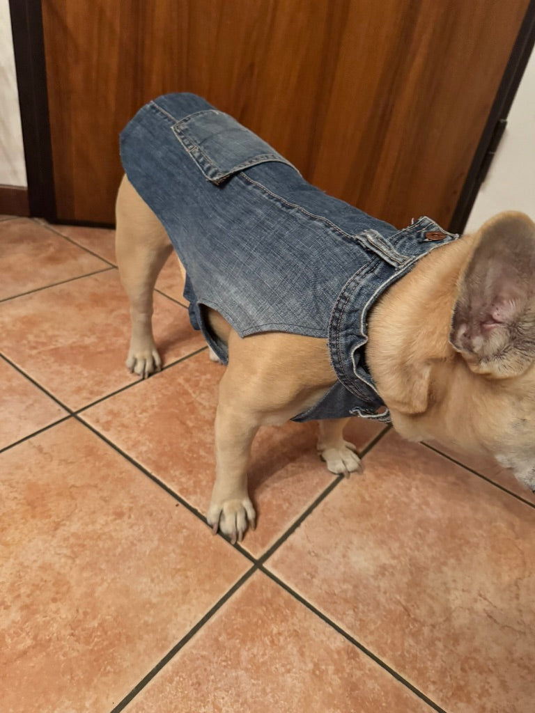 Vestitino in jeans per bulldog e altri pelosini