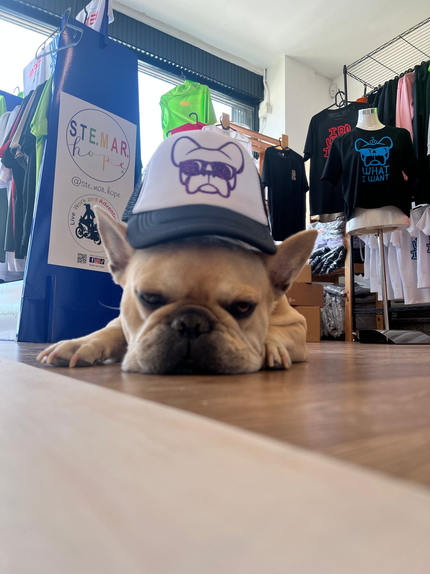 Cappellino-- stampa Ettore