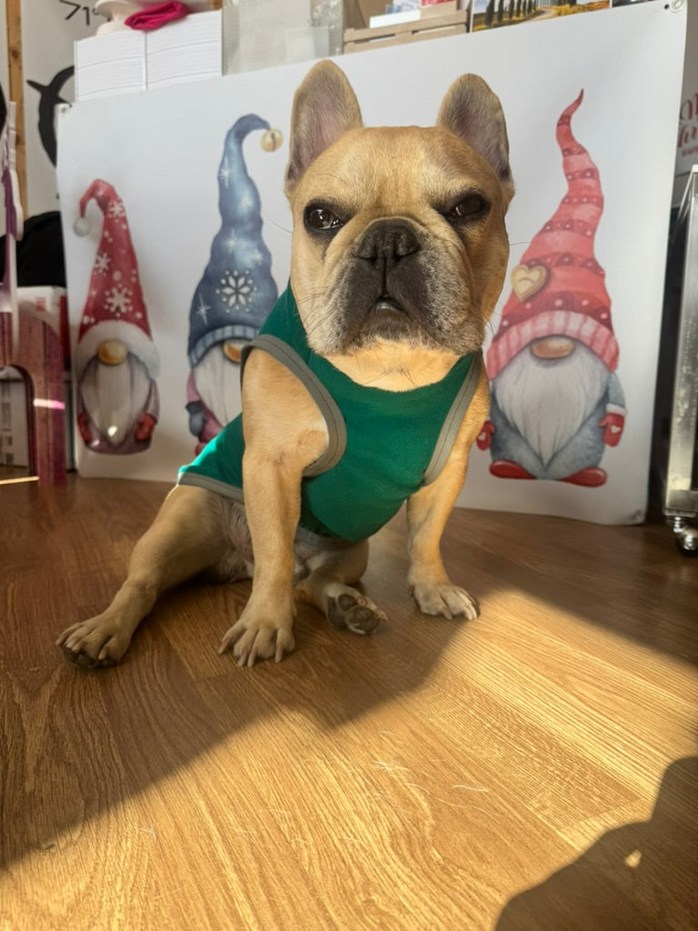 Tutina in felpa garzata per bulldog e altri pelosini PERSONALIZZABILE
