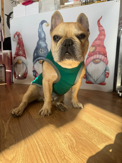 Tutina in felpa garzata per bulldog e altri pelosini PERSONALIZZABILE